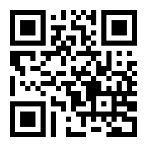 国际知识产权代理服务模板